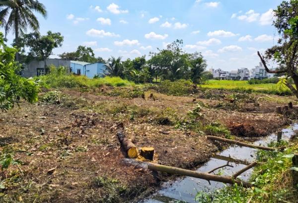 Bán Trang trại, nhà vườn 300m²
