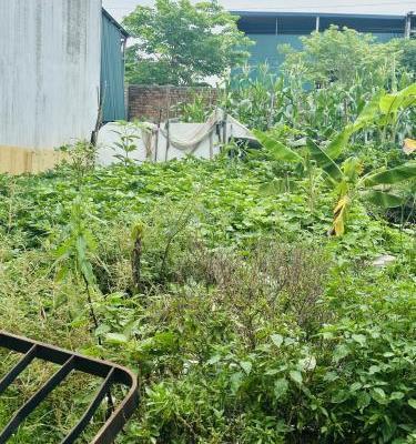 Cần bán Đất nền riêng lẻ 90m²