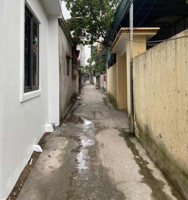 chính chủ gửi bán đất tặng dãy trọ 3 phòng tại 🏤 vũ phúc