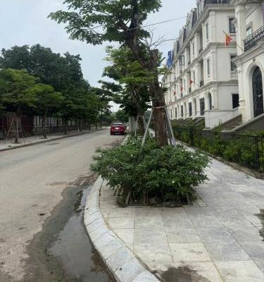 Bán Biệt thự nghỉ dưỡng 160m²
