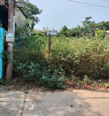 SỞ HỮU NGAY ĐẤT NHÀ VƯỜN RỘNG RÃI – GIÁ CHỈ 2,5 TỶ 🏡 TẠI HÒA THỌ TÂY!