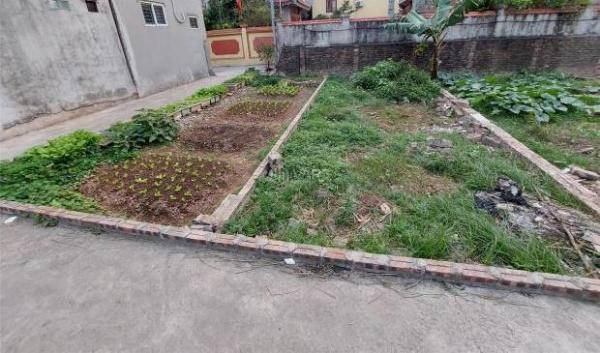 Cần bán Đất nền riêng lẻ 40m²