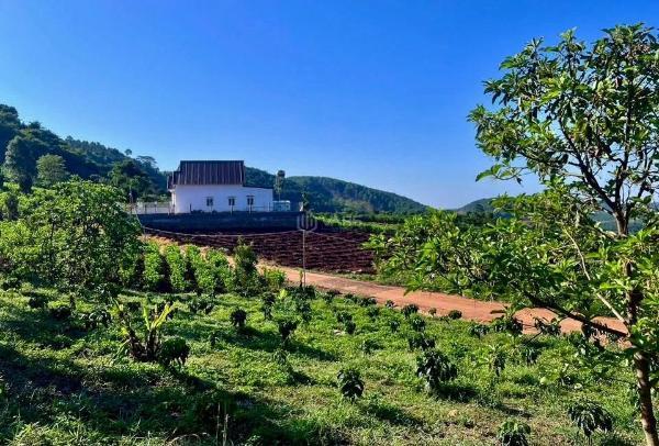 Giữa đồi xanh nam ban quỹ đất 5.900m² mặt tiền 59m dành 🌊 cho những dự định dài