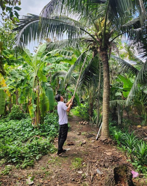 Bán nhà, đất mặt tiền đường nguyễn văn bứa, xã 🆘 bà điểm. diện tích 1079,5m² có 24