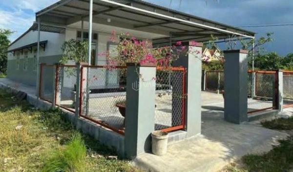 <mark style="background-color: transparent; font-weight: 400; ">Chỉ800 tr có nhà cấp 4 đẹp tại Ninh Phụng Ninh Hòa dt 🏠 đất400m mặt tiền 35m,ra Dốc Lết 19km</mark>