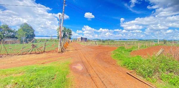 Bán Trang trại, nhà vườn 11000m²