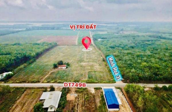 Cần bán Trang trại, nhà vườn 255m²