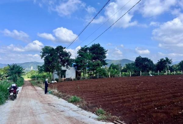 Bán Đất nền riêng lẻ 502m²