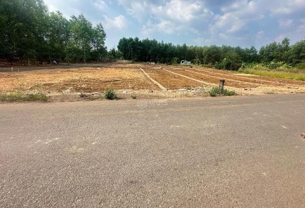 Cần bán Đất nền riêng lẻ 100m²