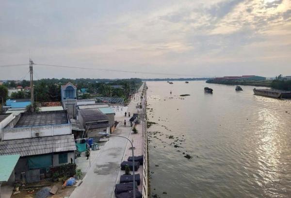 Đất lúa 🏦 óc đảo long hựu 1000m2 giá rẻ đầu tư 420tr