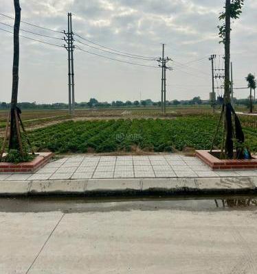 Bán đất đấu giá Cống Đầm cực đẹp, Đại Xuyên 🏡 Phú Xuyên