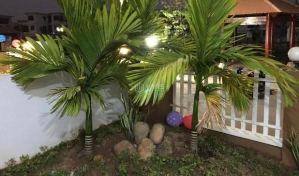 Hiếm Biệt Thự Mặt Tiền Đường Số 💥 3 264m2 3 Tầng (12 x 22) 24 Tỷ Full Nội Thất