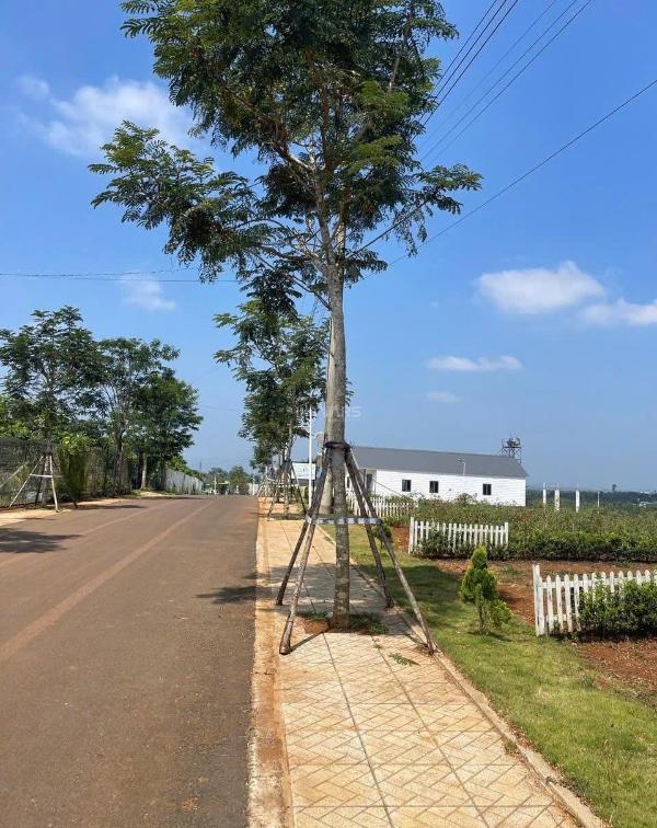 <mark style="background-color: transparent; font-weight: 400; ">✨ đầu tư hôm nay giá trị 👍 tương lai đất ven đà lạt giá 789tr</mark>