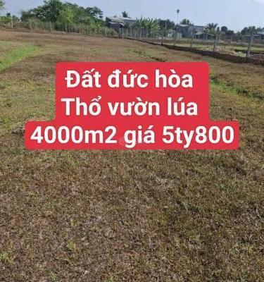 <mark style="background-color: transparent; font-weight: 400; ">Chủ cần bán Đất nền riêng lẻ 4000m²</mark>
