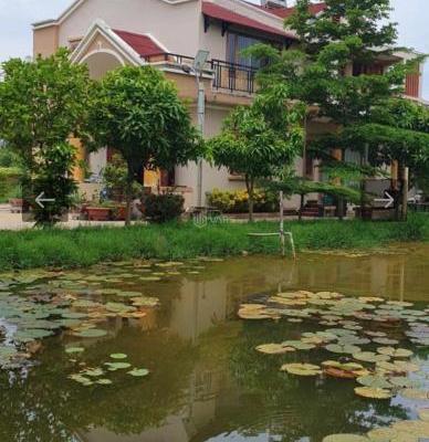 Bán Nhà Xưởng Bà Điểm Hóc Môn 4.146m2, 76m x 55m 🏢 giá chỉ 8.3