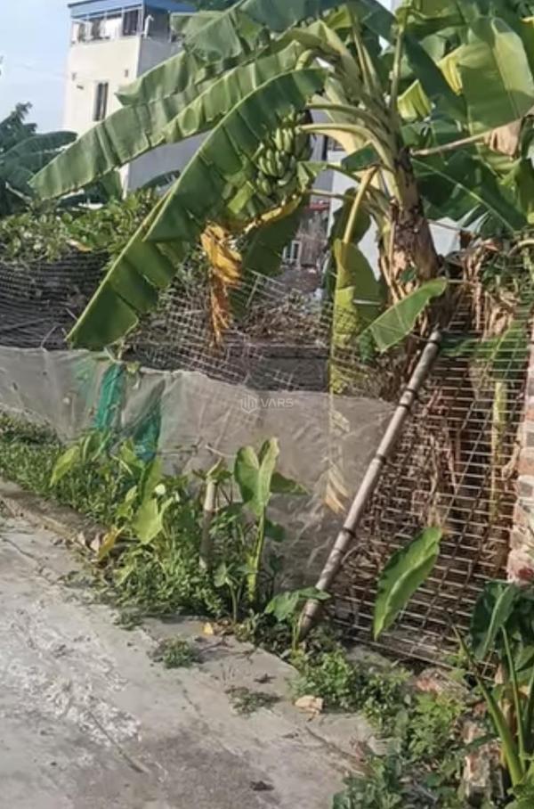 Bán đất 75m2 🏚️ đông hà bắc sơn an dương hải phòng