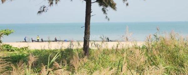 🏝️ 250m2 🔥 đất 3 mặt tiền đường Nguyễn Tất Thành, View thẳng Biển, rất đẹp.🌴