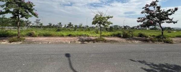 Cần bán Đất nền riêng lẻ 365m²