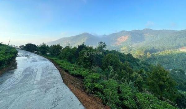 1,1HA ĐỒI CHÈ - 270 TRIỆU/SÀO - SỔ RIÊNG - PHƯỜNG 3 BẢO 🌊 LỘC, LÂM ĐỒNG