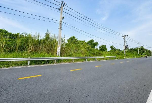 🔥 đất nông nghiệp quy hoạch 🏤 thổ cư giá cực tốt trên đường nguyễn bình, nhà bè