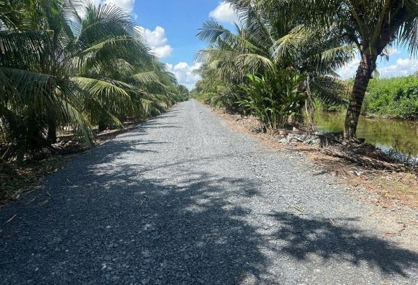 Bán đất vườn tại lê minh 🏘️ xuân - bình chánh đường xe tải