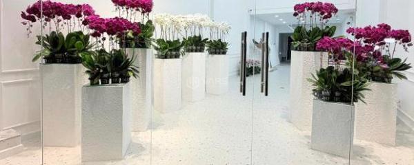 Bán nhà Gò Vấp, MTKD 🏡 Nguyễn Thái Sơn, gần sân bay Tân Sơn Nhất, Phạm Văn Đồng, 125M2,23tỷ