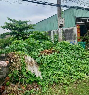 TIN BÁN GẤP 2 LÔ ĐẤT NỀN THỔ CƯ TRUNG 🏢 TÂM THỊ TRẤN BẾN LỨC, LONG AN