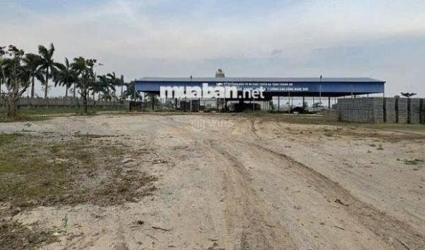 SANG NHƯỢNG / CHO THUÊ NHÀ MÁY GẠCH KHÔNG 🏢 NUNG TẠI BÃI SÔNG TRÀ LÝ - ĐÔNG HƯNG, THÁI BÌNH