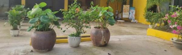 CHÍNH CHỦ CHO THUÊ MẶT BẰNG 🏢 KINH DOANH và NHÀ Ở HƠN 500m² – VỊ TRÍ ĐẸP TẠI CẦN GIỜ