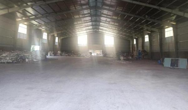 BÁN NHÀ XƯỞNG QL22B, CẨM GIANG, 🏢 GÒ DẦU, TN 48.888m²