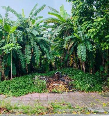 Bán đất dịch vụ Đôn Hậu, 💥 Khai Quang, Vĩnh Yên, Vĩnh Phúc