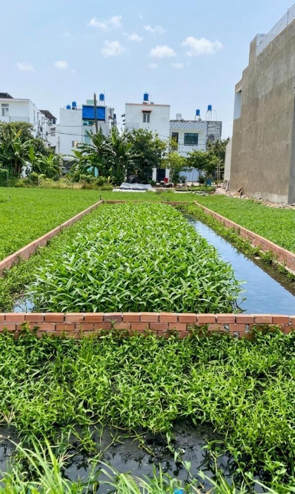K2580* đất trống thạnh ☘ xuân quận 12 giá rẻ đầu tư, diện tích 100m2, 2.x tỷ