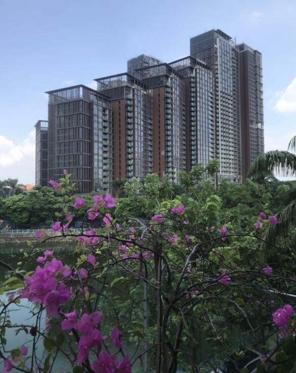 Bán nhà mặt phố quảng khánh tây hồ 🏘️ 278m2-6t mt12,5m view hồ sắn d/tiền 406 tỷ qu
