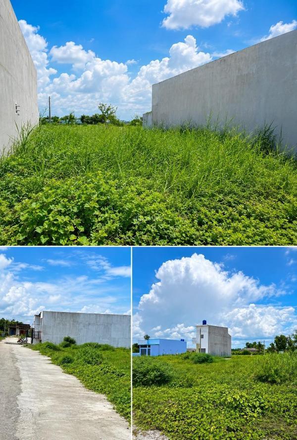 Đất nền khu dự 🏢 án dân cư mới, phóng đường lớn