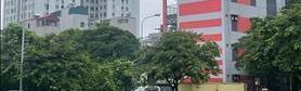 Bán đất khu đg tđc kiến hưng, mậu lương, hà đông dt 🔥 65m2, mt6.2m, 17.5 tỷ