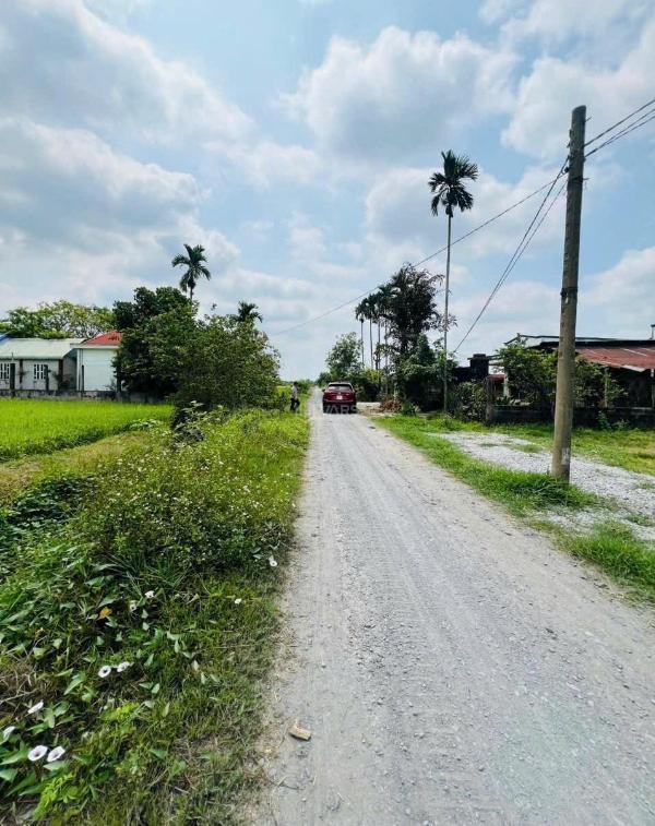 Bán đất 🔥 thổ cư đường đá xanh xe tải xã mỹ hạnh bắc, đức hòa dt 500m2 giá 2,2 tỷ