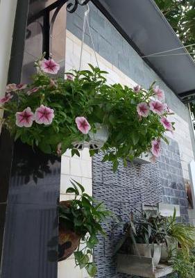 Chủ cần bán Nhà trong hẻm 135m²