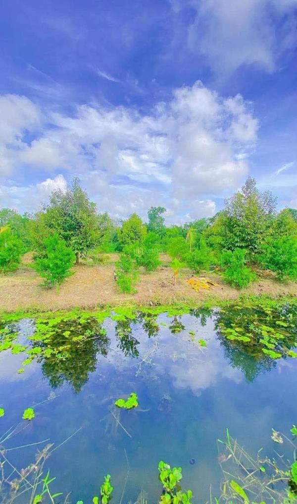 Bán 💥 đất 8.000 m2 quốc lộ 61c tiện làm khu du lịch sinh thái