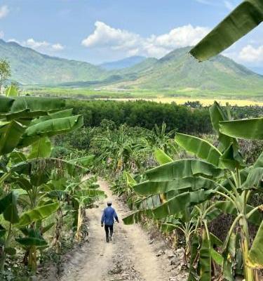 Chủ cần bán Khác 13000m²