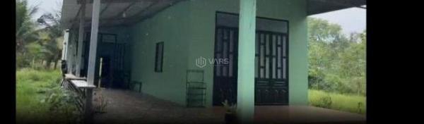 CHÍNH CHỦ BÁN HOẶC CHO THUÊ NHÀ VƯỜN 1.600m² – KHÔNG GIAN XANH LÝ TƯỞNG CHO 🔥 NGHỈ DƯỠNG,