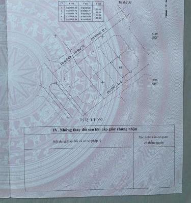 Lô đất dự án 🏤 BCR Tam Đa DT 210m giá đầu tư