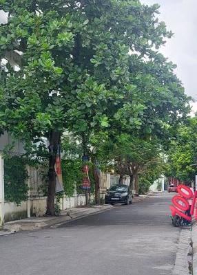 🚘Ô TÔ ĐỖ CÁCH NHÀ 15M NGAY THIÊN LÔI, VIEW TTTM 🌊 AEON 🏡 NHÀ LÔ GÓC - XÂY ĐỘC LẬP - SÂN CỔ