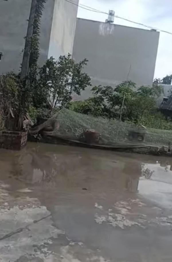 Bán Đất nền riêng lẻ 52m²
