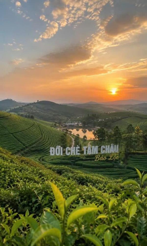 Chủ cần bán Biệt thự nghỉ dưỡng 150m²
