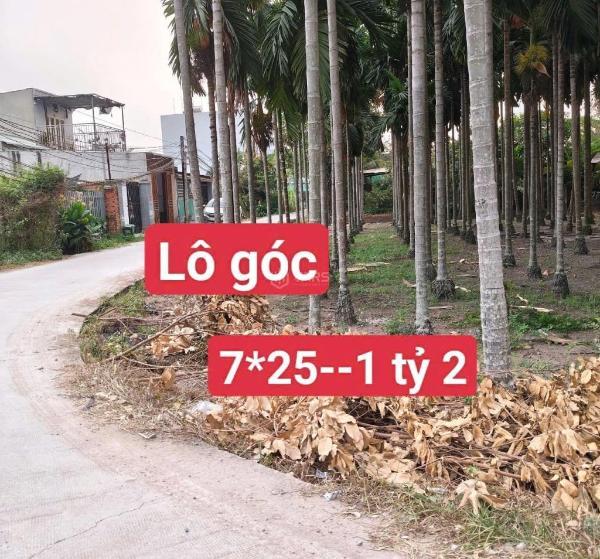 Bán 3 lô thổ cư liền kề 🆘 đường beton oto đức lập thượng, đức hòa giá 800tr - 1,2t