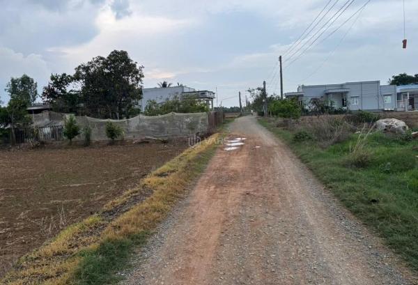 Đất lúa 600m2 mô hình nhà vườn khu đô thị 🏣 long hựu giá rẻ 690tr
