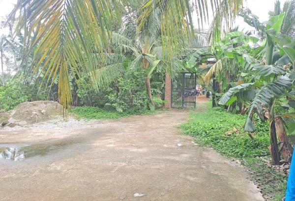 Cho thuê đất hồ câu 🆘 cá giá trí, đường 11, p. trường thọ dt 2.000m² 25tr/t