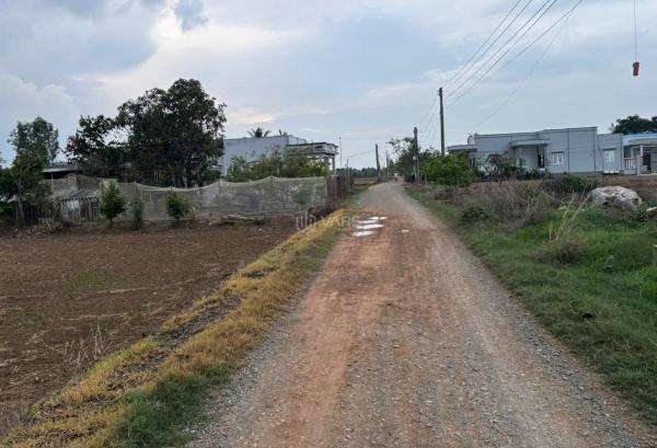Đất lúa 1000m2 mt đường 7m khu đô thị long 🏠 hựu giá rẻ 2 tỏi 5