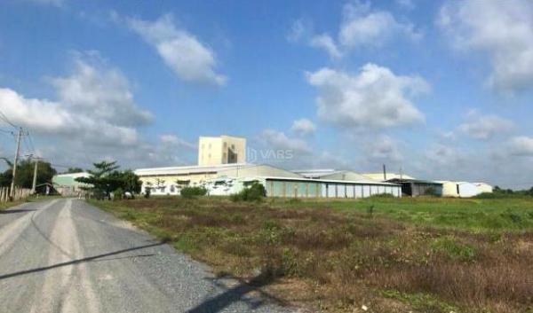 Bán nhà xưởng siêu đẹp 👍 GÒ DẦU, TÂY NINH 20.000m²