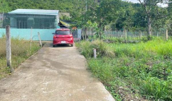 Bán đất Diên Tân full thổ 🏚️ cư giá rẻ sát bên Hương Lộ 62 dân cư đông ô tô vào tận nơi